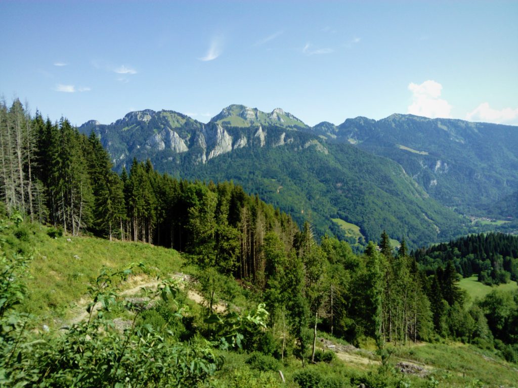 paysage montagne forêt lullin