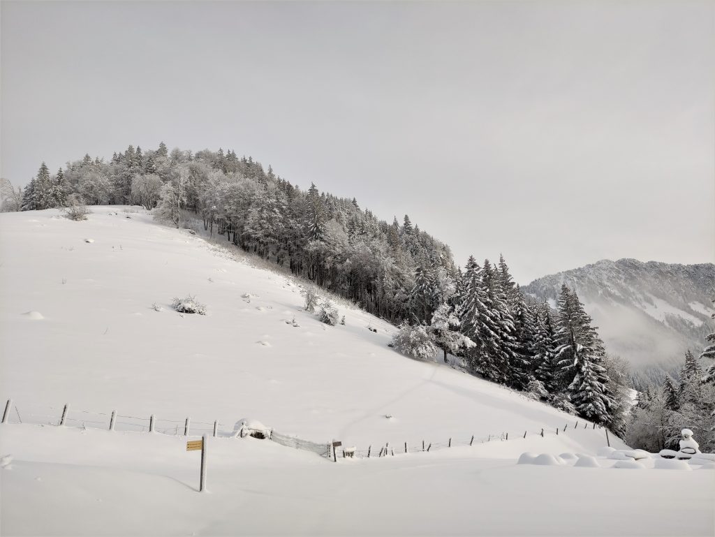 paysage neige La Forclaz raquettes