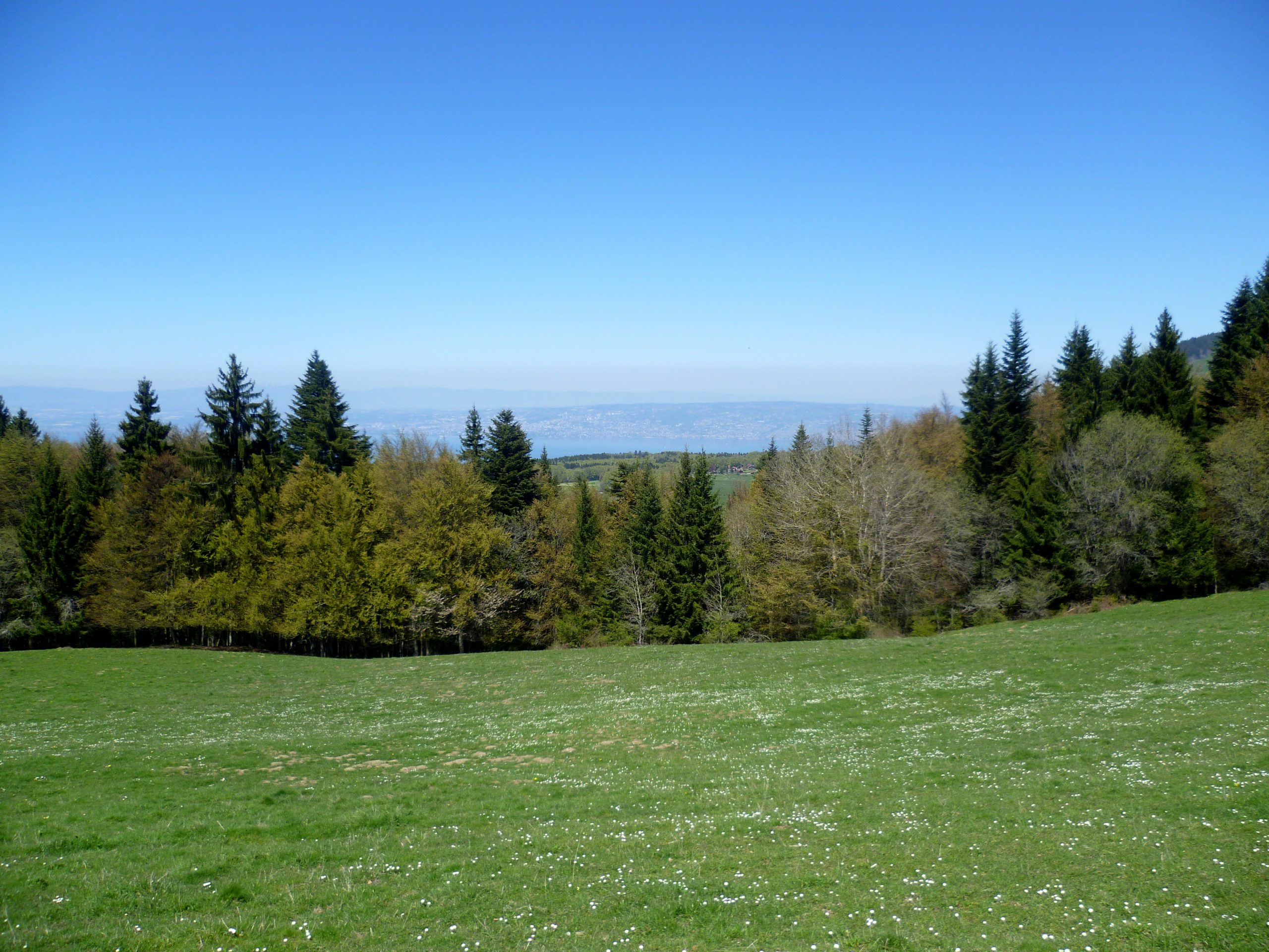 Randonnée : autour du Mont Baron, entre lac et alpages
