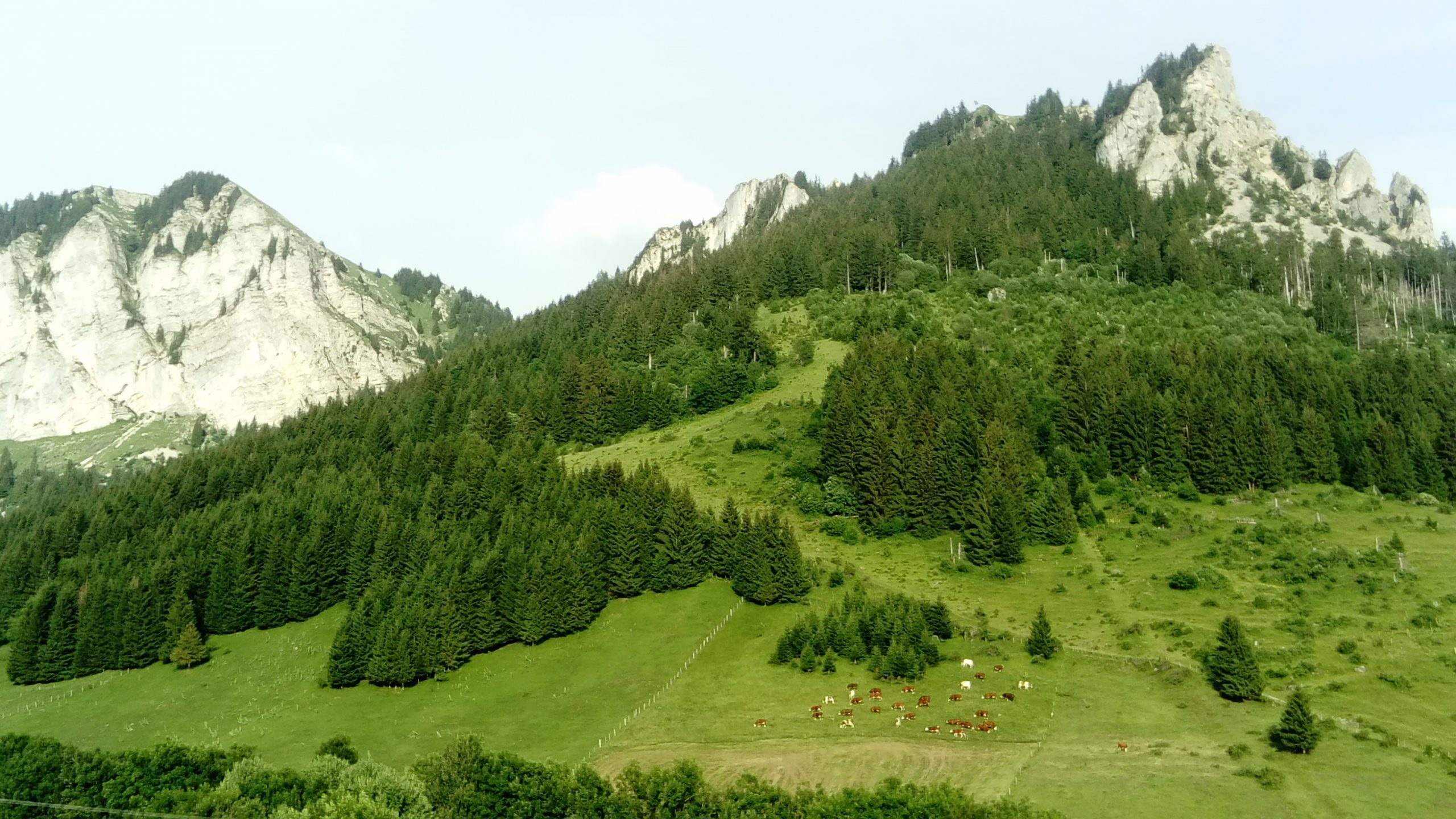 Petite randonnée du soir : Le petit tour du Mont Bénand, Bernex