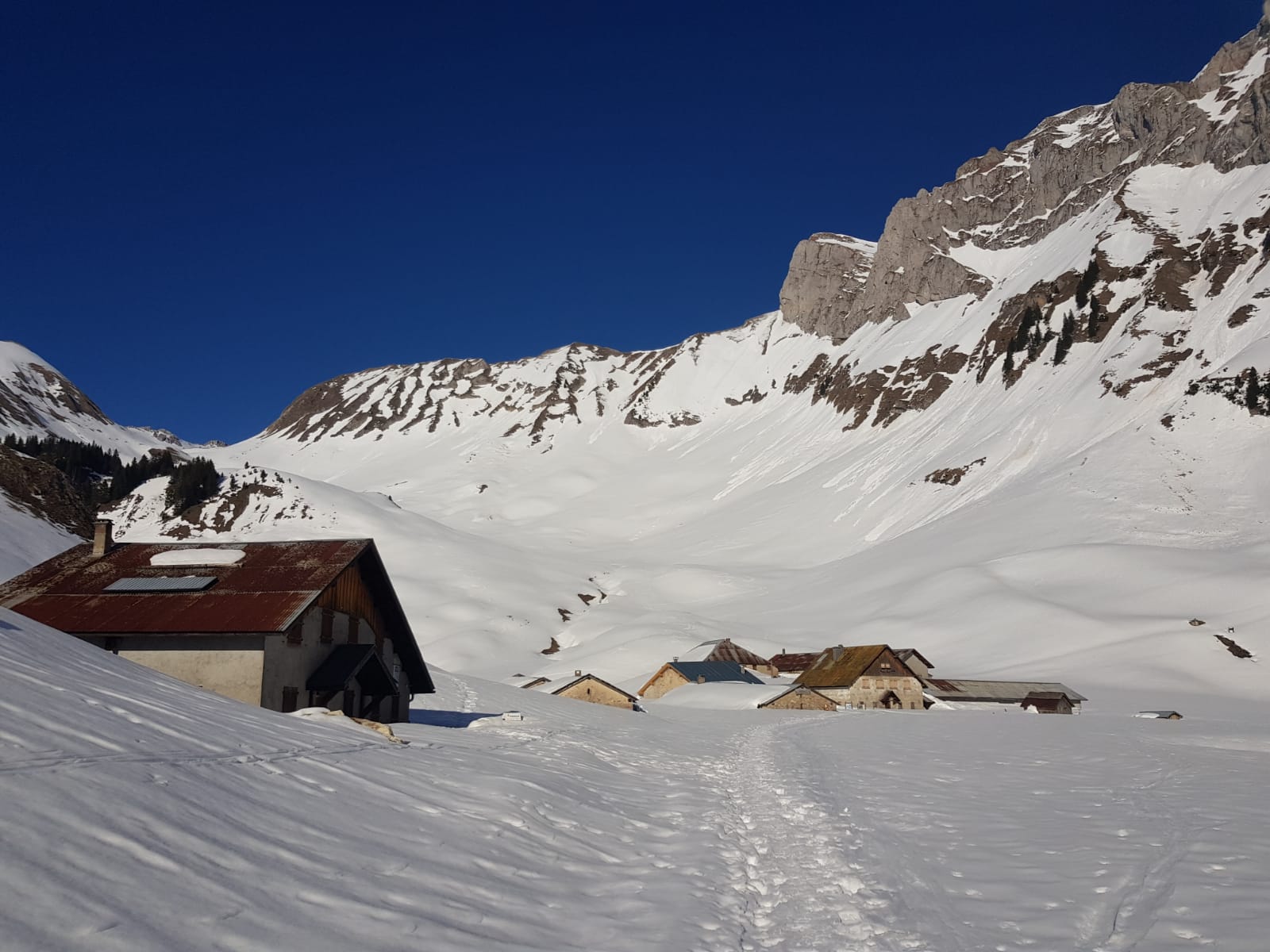 Randonnée raquettes : l’alpage de Bise