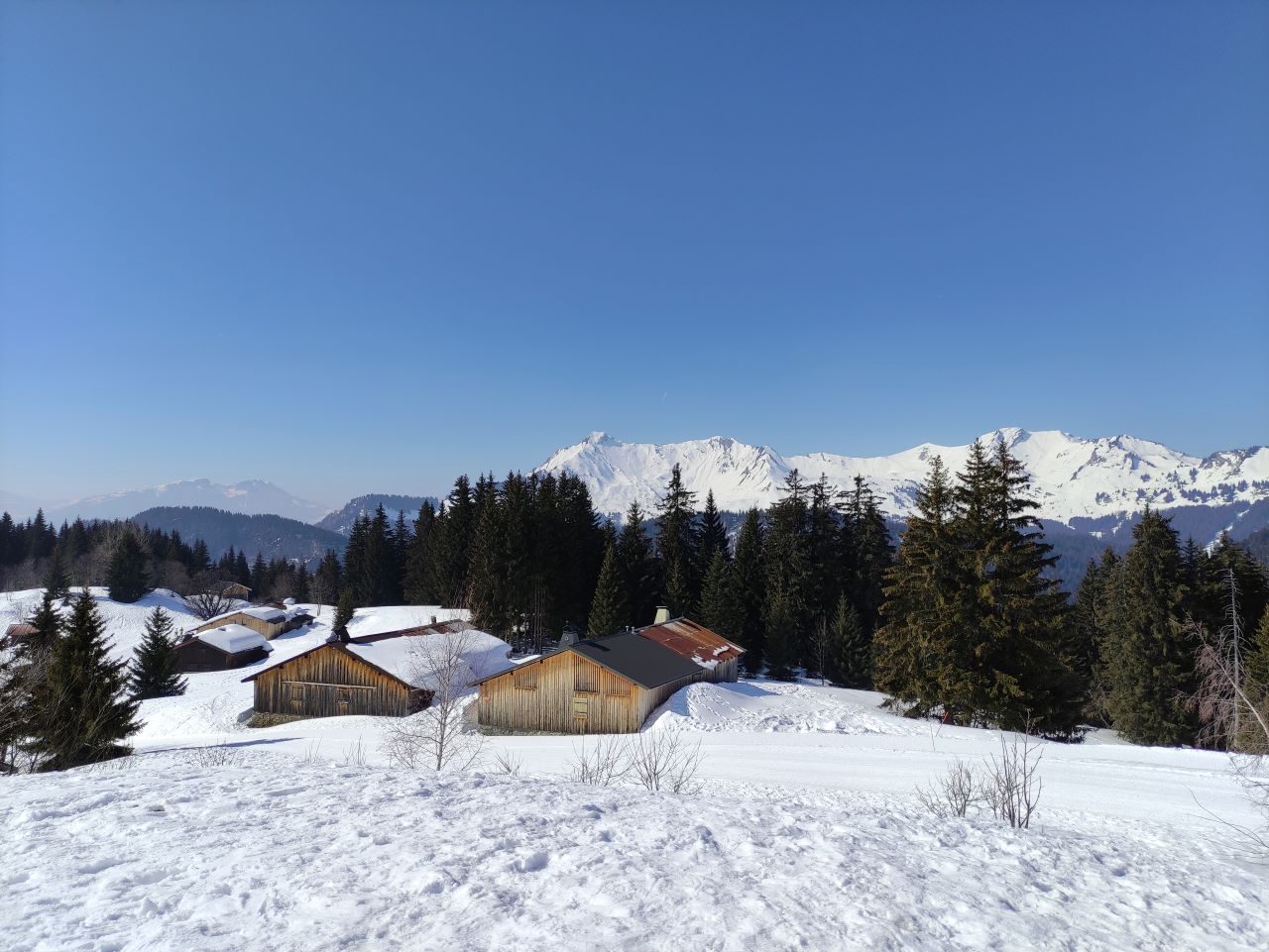 Randonnée raquettes : Mont Caly