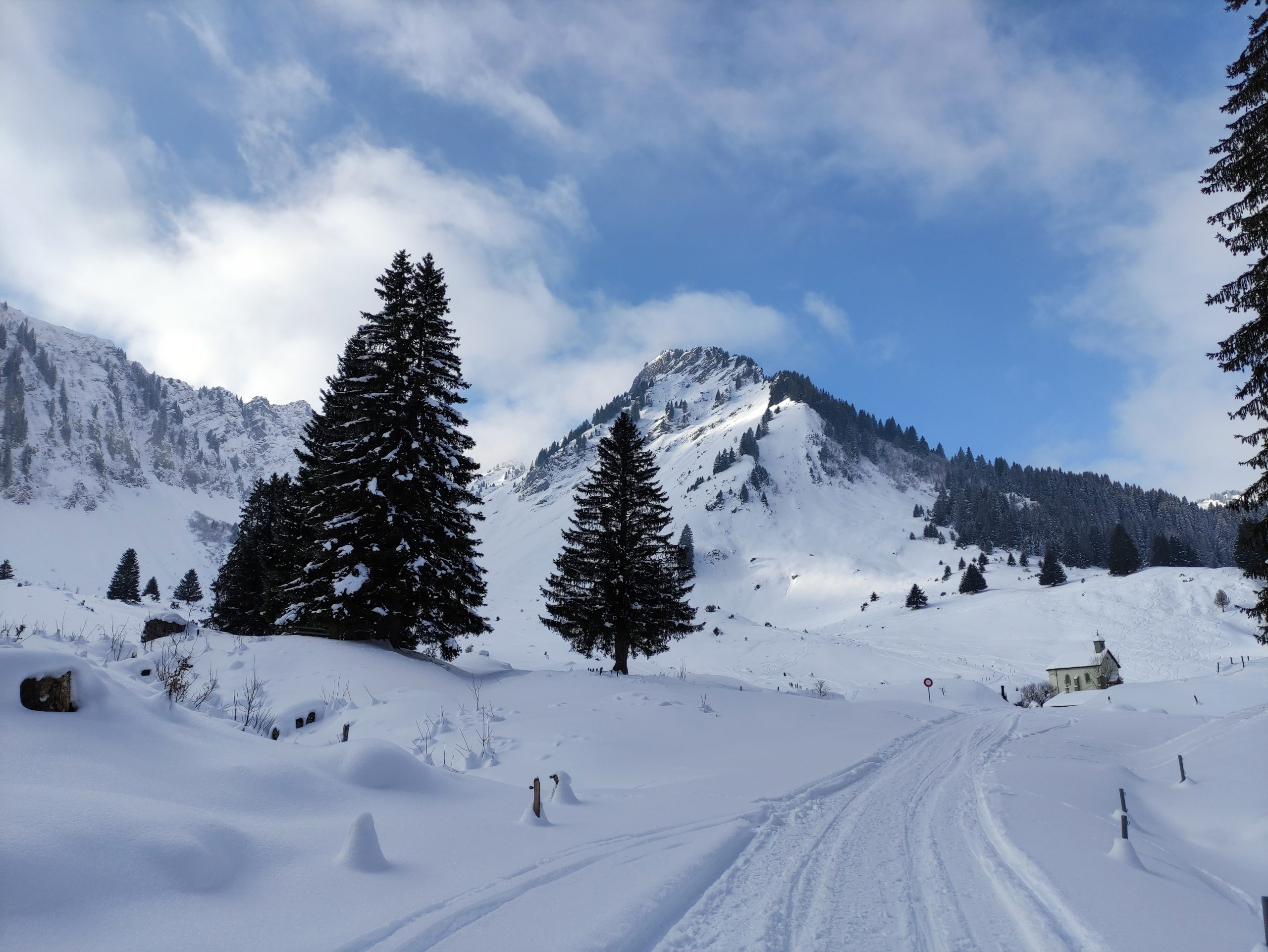 Randonnée raquettes : alpage de Graydon